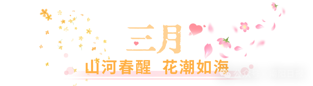 白河滩湿地公园郁金香3.jpg
