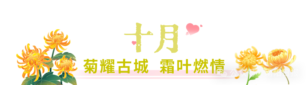 白河滩湿地公园菊花2.jpg