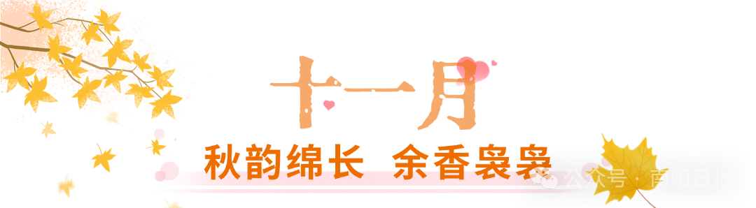 12.png