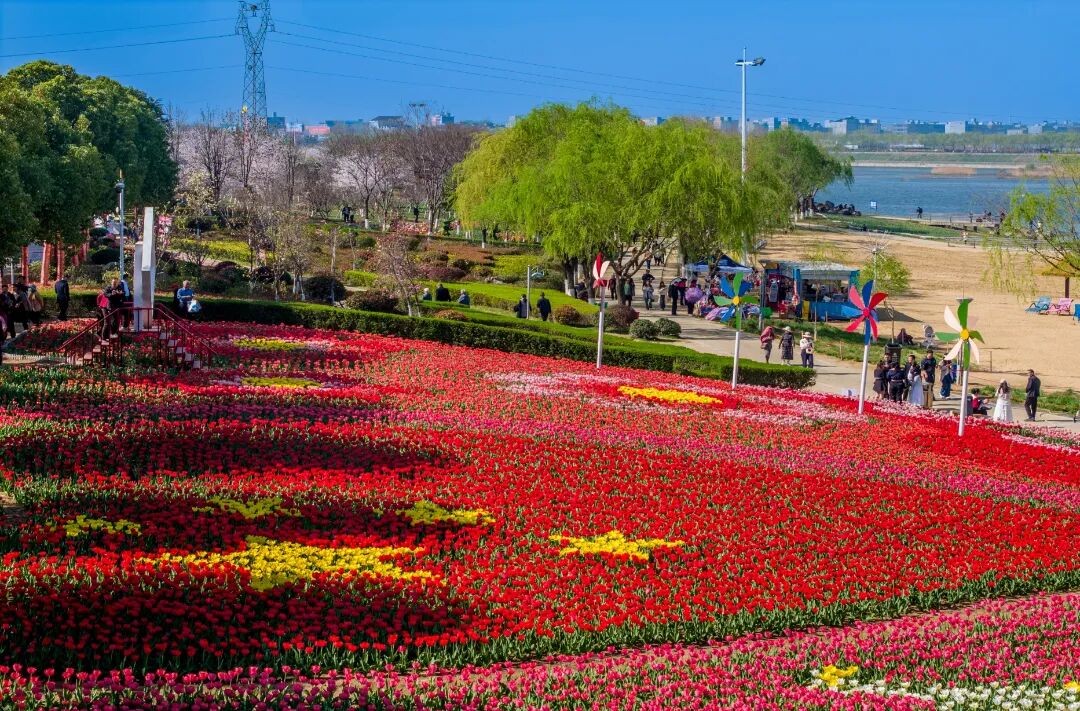 新甸铺镇津湾村桃花2.jpg