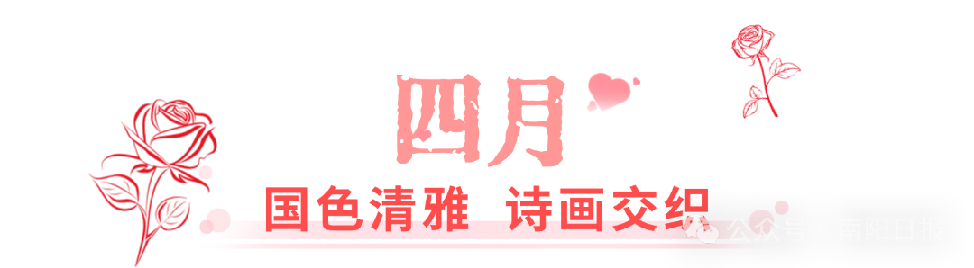 _DSC0404_看图王.jpg