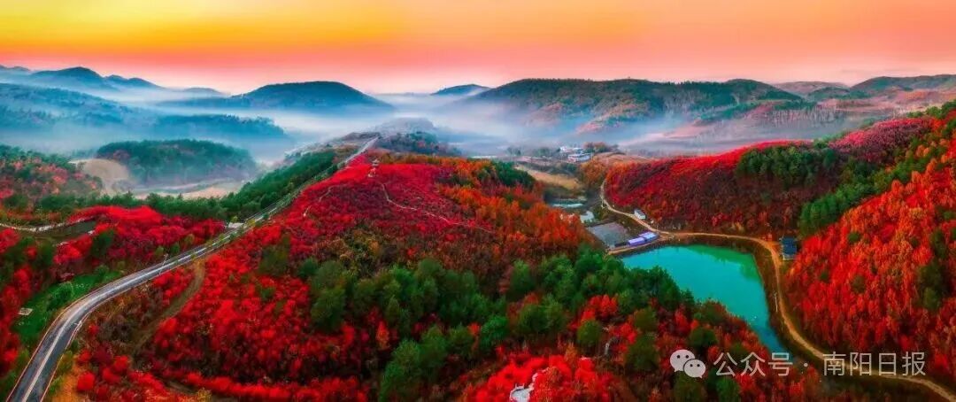 邓州花洲书院梅花.jpg