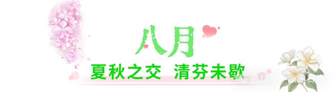 南阳月季大观园1.jpg