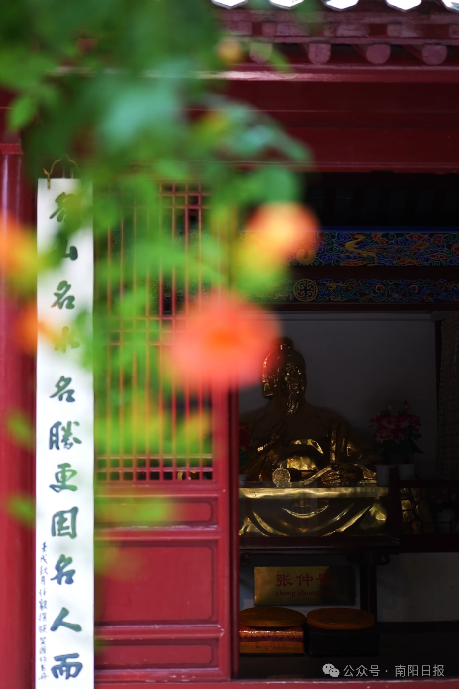 南召杜鹃2.jpg