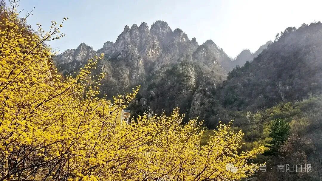 微信图片_2026-02-10_165122_150.jpg